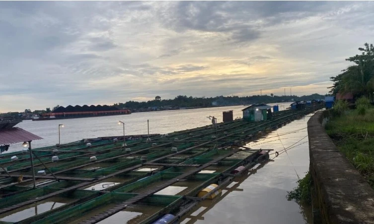 Perikanan Masih Jadi Tulang Punggung Ekonomi Warga Embalut